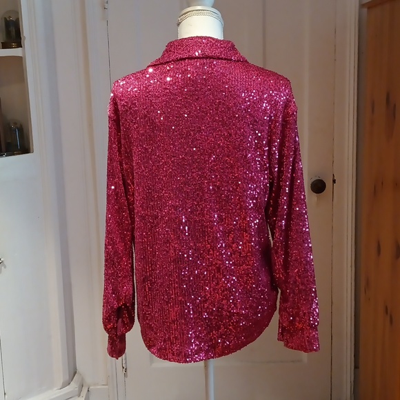 Rachel Zoe Long Sleeved Sequinned Blouse - Picture 7 of 11